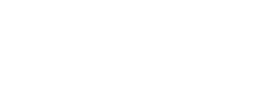 皮皮